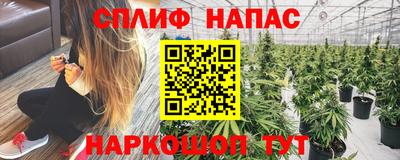 spice Балаково